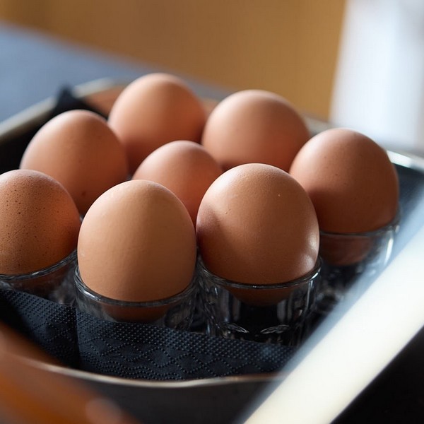 HOTEL LIDO s.r.l. | Lido Taste