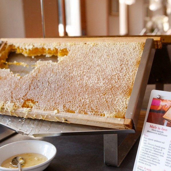 HOTEL LIDO s.r.l. | Lido Taste