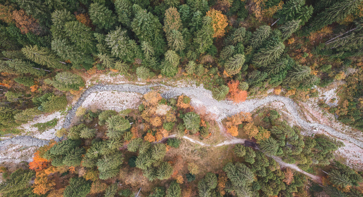 SPECIALE AUTUNNO 5=4