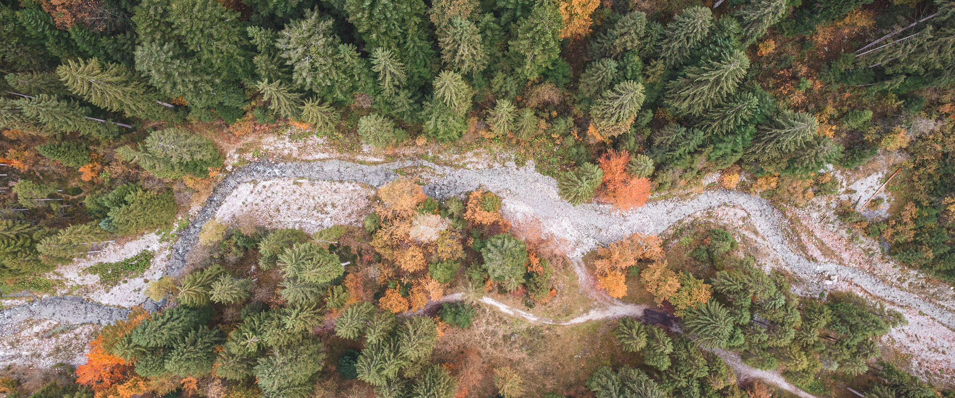 SPECIALE AUTUNNO 5=4