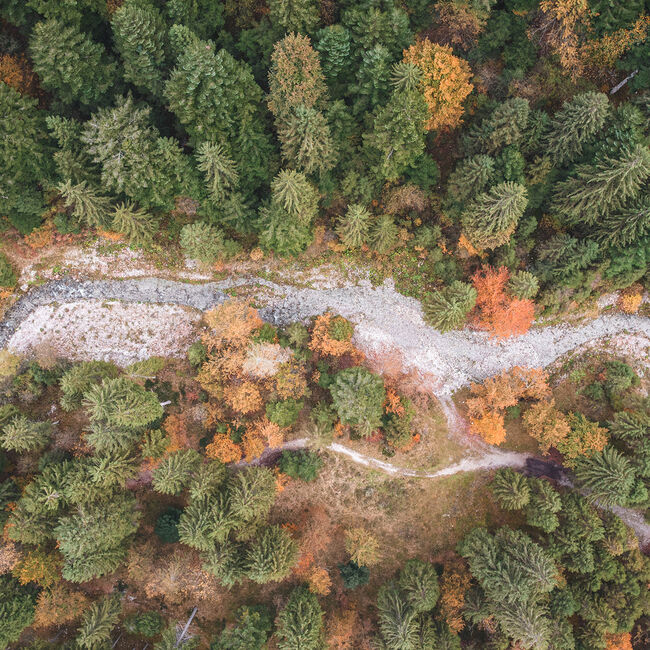 SPECIALE AUTUNNO 5=4